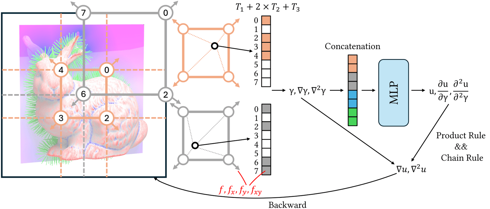 Hermite-NGP workflow diagram